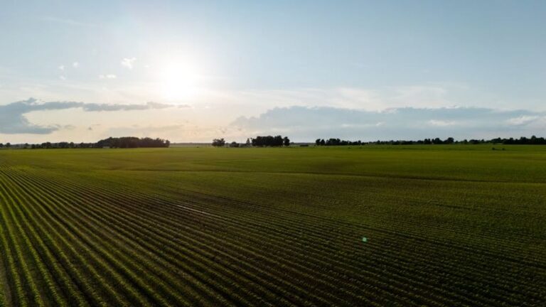 land investment